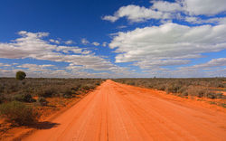 South_Australian_o_3575061b