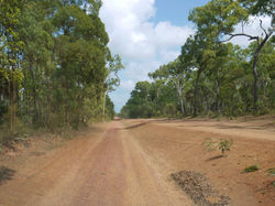 LOCATION Bamaga, Australia’s northern most settlement, is the start line for just the fifth marathon in the Northern Peninsula Regional Council Area. Located 1000 kilometres north west of Cairns, it will be all hands on deck for the Bamaga community, as the tiny yet vibrant township look to create history in the race to Australia’s most northern tip. Bamaga will host a briefing and welcoming party the night before the history making event, which is hoped will provide life long stories for all those involved in the race. 2022 will see just the second ever 7km Fun Run on the program. Commencing at dawn on the outskirts of the quiet little town, a traditional Welcome to Country ceremony will herald the start of the race. Competitors will follow the current 4WD track all the way to the rocky outcrop, and race back to Bamaga before the North Queensland humidity really kicks in. CLIMATE Bamaga has a tropical savannah climate with constantly high temperatures throughout the year. The dry season runs from early June to late November. The average temperatures in May for Bamaga are - Low 24 degrees Celsius High 29 degrees Celsius HOW TO GET THERE If you aren't keen on the 28 hours drive from Cairns to Bamaga, then aviation company Skytrans fly from Cairns to Bamaga six times a week. It is a pleasure to announce SKYTRANS as major events sponsors of this inaugural event.