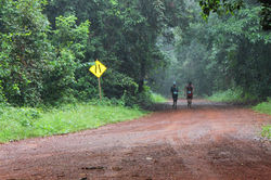 North - Cape York Peninsula